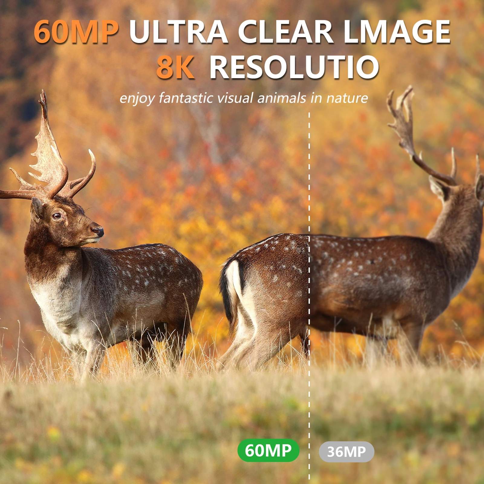 Cámara de Caza Solar 8K 60MP W - Outdoor Hunting Camera Wifi reseña y precio